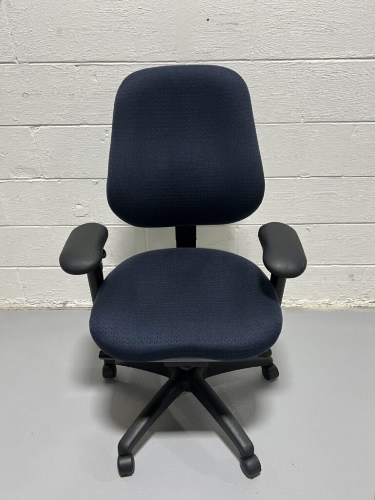 Ergogenesis (Bodybilt) Ergonomic XL Chair - Used