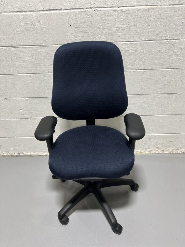 Bodybuilt (Ergogenesis) Ergonomic Task Chair - Used