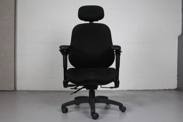 ErgoGenesis BodyBilt Vio Ergonomic Task Chair with Headrest - Used